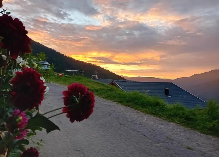 Chalet Niederhaushof